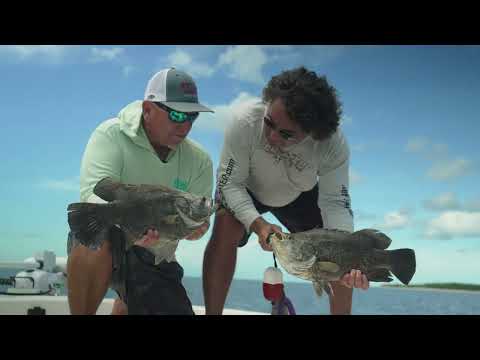 Fishing Tips with Captain Brian Sanders: How to Catch a Tripletail